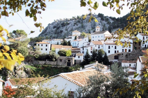 Depuis Cadix : visite des villages blancs d’AndalousieVisite privée des villages blancs d’Andalousie