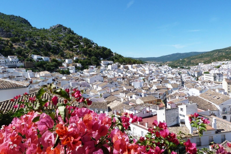 Desde Cádiz: tour por los pueblos blancos de AndalucíaTour privado por los pueblos blancos de Andalucía