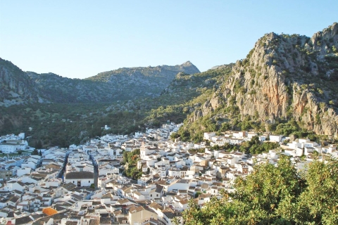 Depuis Cadix : visite des villages blancs d’AndalousieVisite privée des villages blancs d’Andalousie