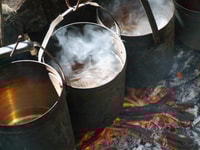 Larc!Paradise -Tour, Strand, Mittagessen und Sandboarding - Housity