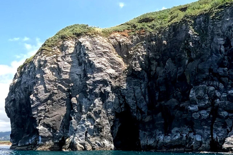 圣米格尔岛：火山奇观、洞穴与历史游船之旅