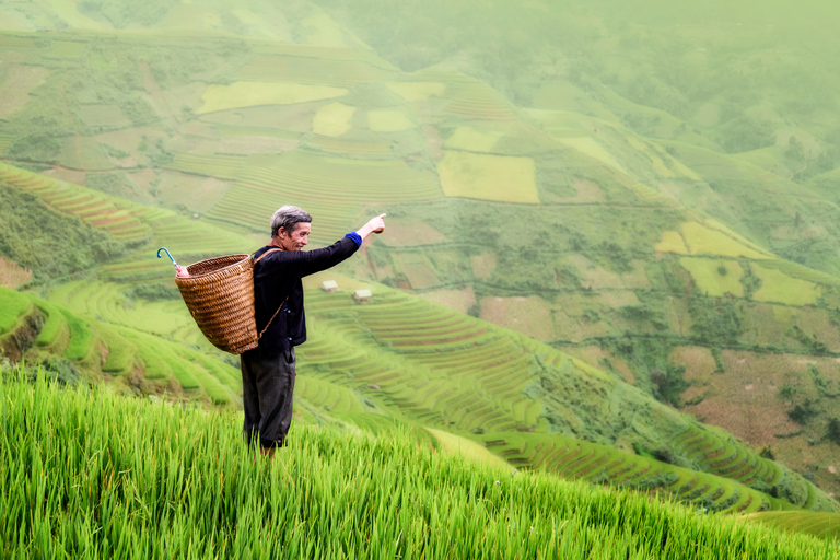 Da Ubud: Tour serale delle lucciole nel villaggio di TaroTaro: tour serale di avvistamento lucciole da Ubud