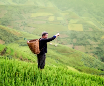 From Ubud: Evening Firefly Tour in Taro Village