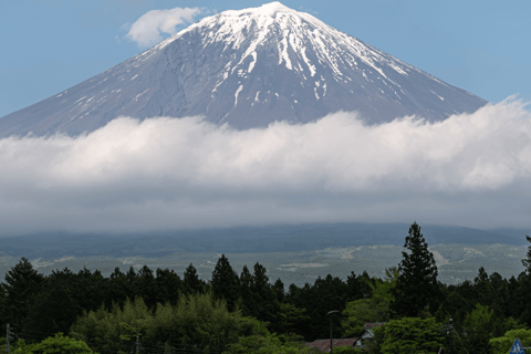 Tokyo: Mount Fuji Private Customizable Tour In Luxury Van