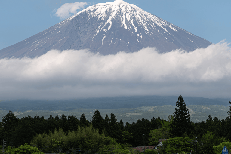 Tokyo: Mount Fuji Private Customizable Tour In Luxury Van