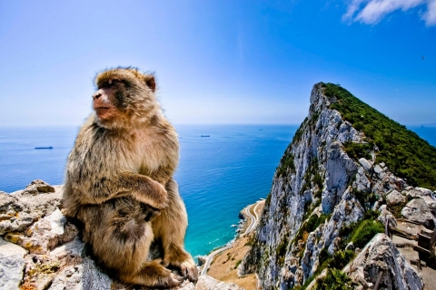 Depuis Cadix : Excursion privée d'une journée à Gibraltar et visite de VejerExcursion privée d'une journée à Gibraltar et visite de Vejer