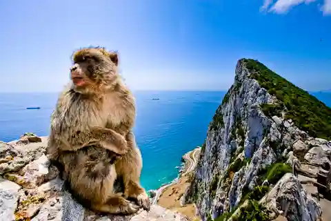 From Cádiz: Private Day Trip to Gibraltar & Vejer Tour