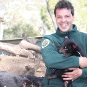 Hobart: Mt Wellington, Richmond, & Bonorong Wildlife Tour