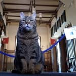 Trieste: tour per famiglie al Castello di Miramare con Max il gatto