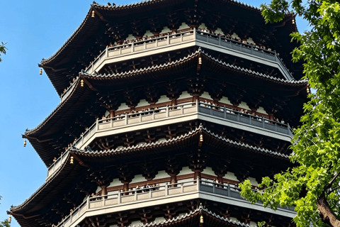 Hangzhou Zen and Pagoda Shadows One-Day Tour