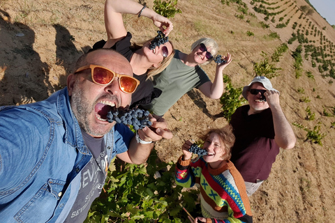 Toledo: Wijnproeverij in Toledo &amp; La Mancha - Molens en lunch inbegrepen.Wijnproeverij in Toledo &amp; La Mancha: molens en lunch inbegrepen.