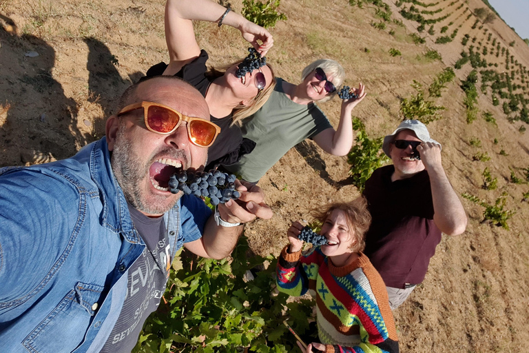 Toledo: Wijnproeverij in Toledo &amp; La Mancha - Molens en lunch inbegrepen.Wijnproeverij in Toledo &amp; La Mancha: molens en lunch inbegrepen.