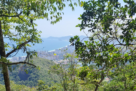 Pedra da Gávea Rio de Janeiro Summit Hike