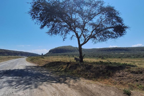 Nairobi: Wycieczka 1-dniowa nad jezioro Naivasha i do Parku Narodowego Hell&#039;s Gate