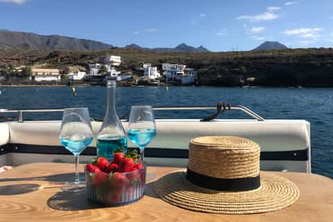 Adeje: Private 6-Hour Whales and Dolphins Motor Boat Cruise