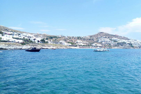 Depuis Mykonos : croisière d'une journée à Rhénée et Délos