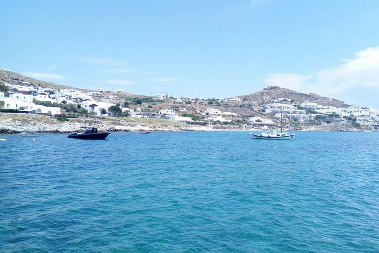 Vanuit Mykonos: cruise van een hele dag naar het oude Delos en het eiland Rhenia