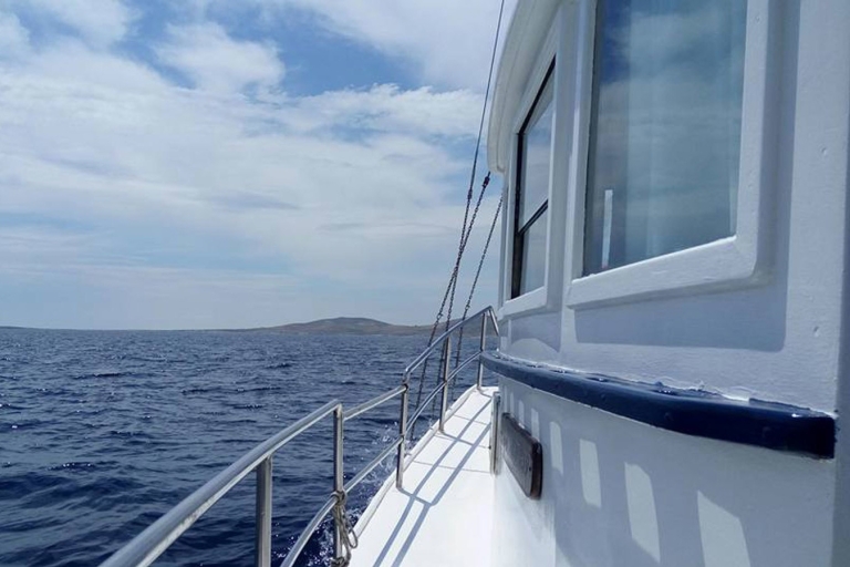 Ab Mykonos: Tagestour zu den Inseln Delos und Rhenia