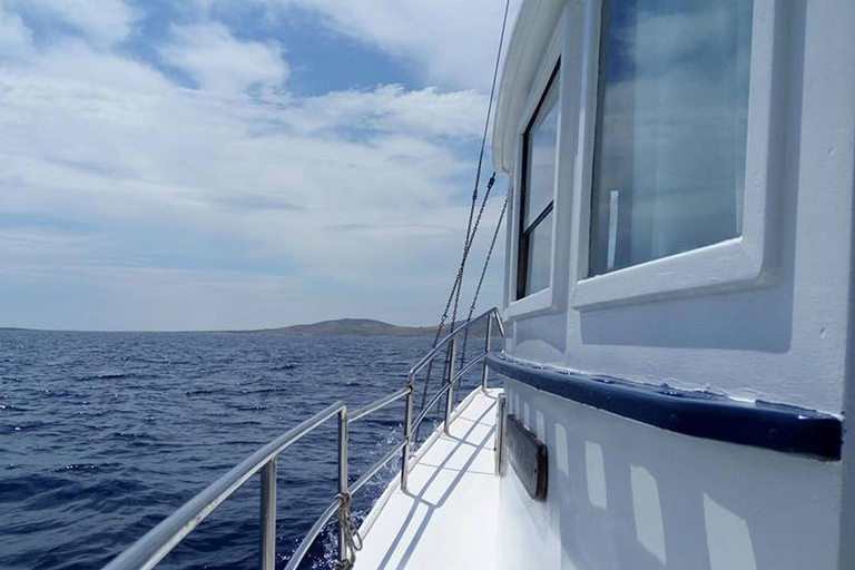 Vanuit Mykonos: cruise van een hele dag naar het oude Delos en het eiland Rhenia