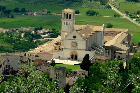 Från Rom: Assisi och Orvieto heldagstur i liten gruppSmågruppsresa på engelska