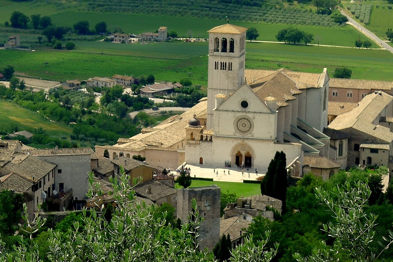 Da Roma: Tour per piccoli gruppi di un giorno di Assisi e OrvietoTour per piccoli gruppi in inglese