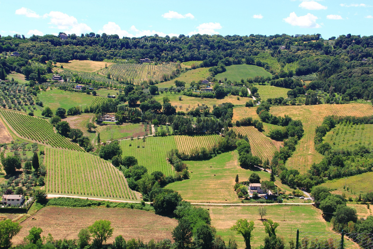 From Rome: Assisi and Orvieto Small Group Tour Small Group Tour in English