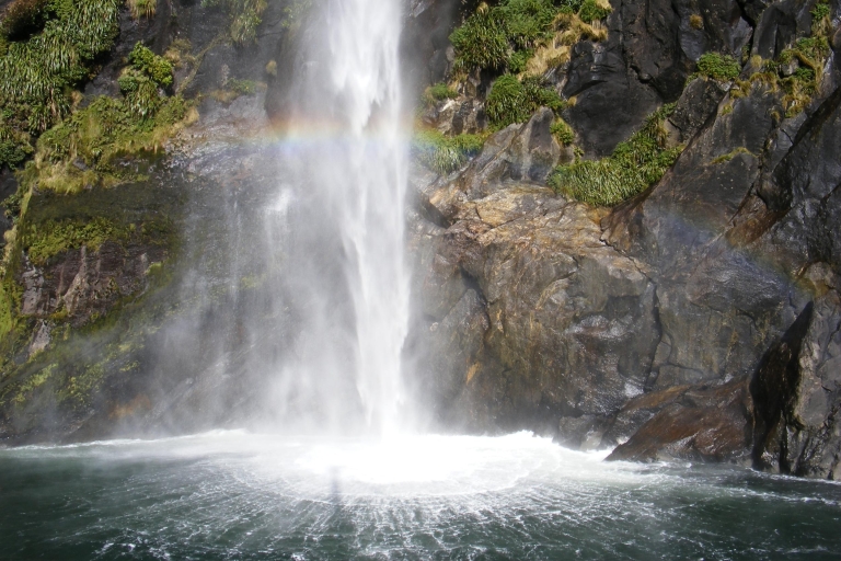Milford Sound: visite en petit groupe de Te Anau