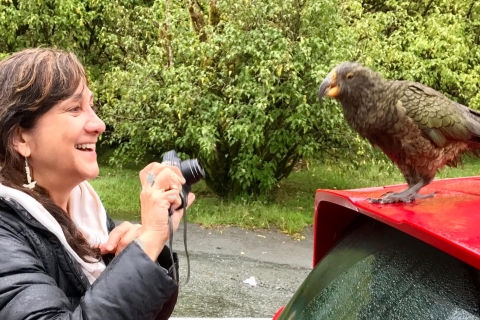 Milford Sound: Mała grupowa wycieczka z Te Anau
