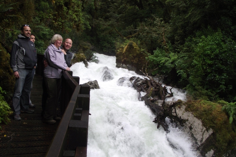 Milford Sound: Mała grupowa wycieczka z Te Anau
