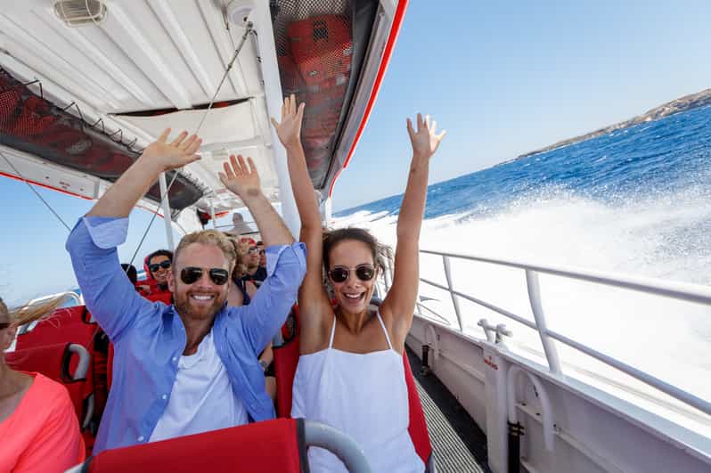 Rottnest Island Day Trip by Ferry & Adventure Boat Tour GetYourGuide