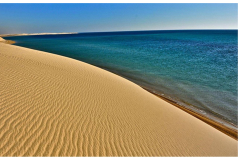 Doha: Safari por el desierto con paseo en camello y Sandboarding