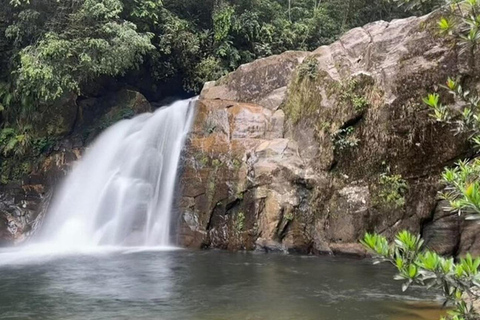 6 Hour Sinharaja Rainforest Tour