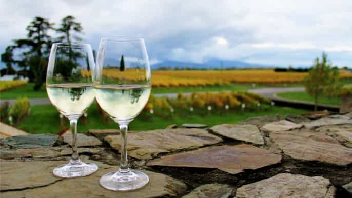 blenheim progressive wine gourmet trail of marlborough