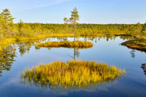 from tallinn day trip to lahemaa national park