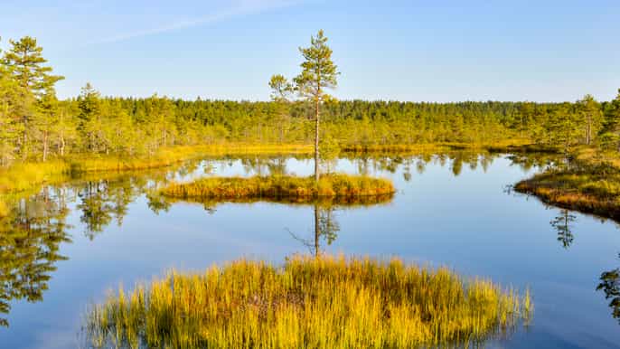 tour parque nacional de lahemaa saindo de tallinn 1 dia