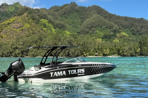 Moorea : journée privée d'exploration du lagon avec déjeuner