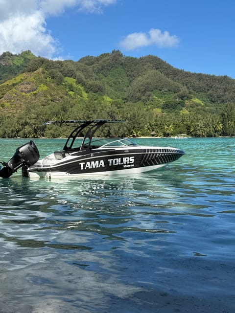 Moorea : journée privée d'exploration du lagon avec déjeuner