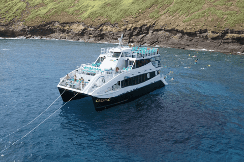Maui: Molokini and Turtle Town Snorkel with Lunch Buffet