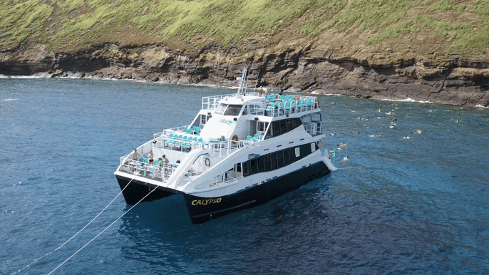 maui molokini and turtle town snorkel with lunch buffet