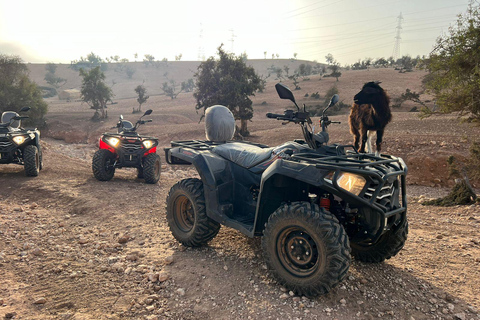 Passeio de quadriciclo e cabras na árvore de argão e chá com Nomade