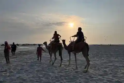 Salalah: Przejażdżka na wielbłądzie po plaży z odbiorem z hotelu