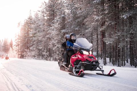 Rovaniemi: Snowmobile Safari into the Arctic Circle Forest