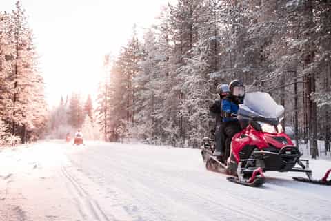 Rovaniemi: Safari para motos de neve na floresta do Círculo Polar Ártico