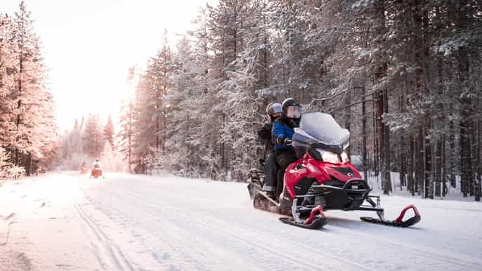 rovaniemi snowmobile safari into the arctic circle forest