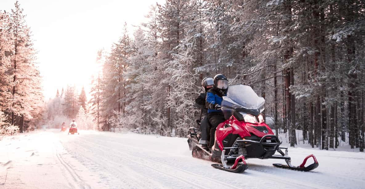 Rovaniemi: Snowmobile Safari into the Arctic Circle Forest | GetYourGuide