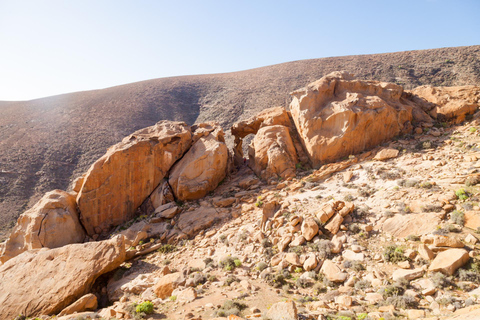 Fuerteventura: Natural Wonders Guided Day Trip