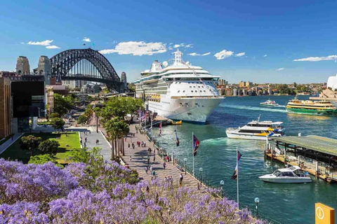 Descubra Sydney - excursão a pé particular