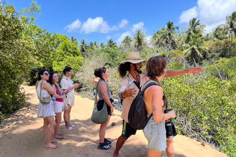 Pipa, Brazil. 3-Day Eco-Retreat, Nature & Local Culture Immersion ticket