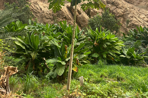 Muscat: Wadi Shab Hike and Bimmah Sinkhole Tour with Lunch Muscat: Wadi Shab Hike and Bimmah Sinkhole Tour with Lunch