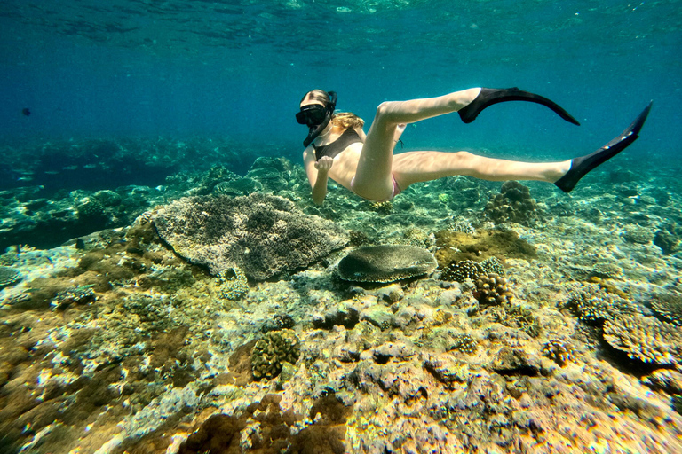 Bali : plongée avec tuba dans deux sites du Blue Lagoon, avec déjeuner et transportSnorkeling à deux sites dans le lagon bleu, rendez-vous au lieu de rendez-vous.